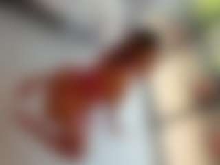ANIE's Live Sex Cam Show