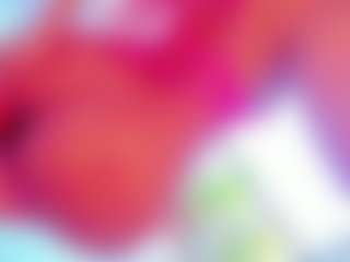 ANIE's Live Sex Cam Show