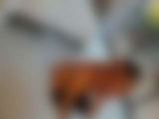 Live cam show with ANIE - Asian Big Ass on Streamer API