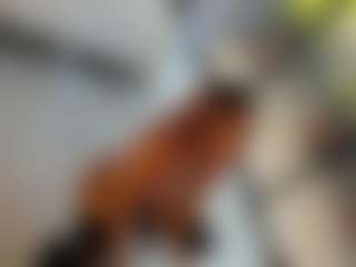 Live cam show with ANIE - Small Tits on Dare Cams