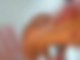 ANIE's Live Sex Cam Show