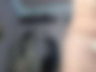 Laney Grey's Live Sex Cam Show