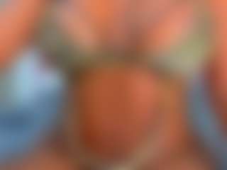 Valentina's Live Sex Cam Show