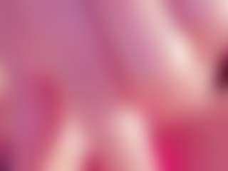 Live cam show with kitty Mary Marie - Small Tits Teen (18+) on Dolls Live