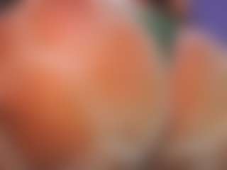 Rox Thee Stallion's Live Sex Cam Show
