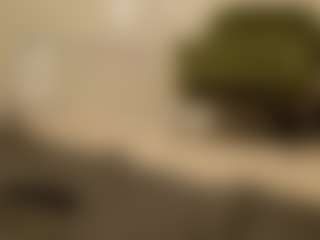 Butterfly Booty's Live Sex Cam Show
