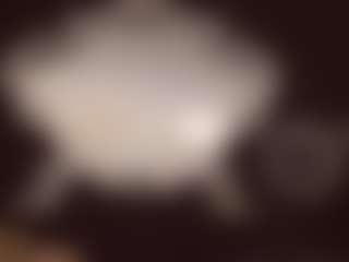 ErickaLee's Live Sex Cam Show
