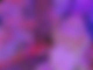 nicollemeyer's Live Sex Cam Show
