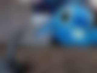 anthoneladoll's Live Sex Cam Show