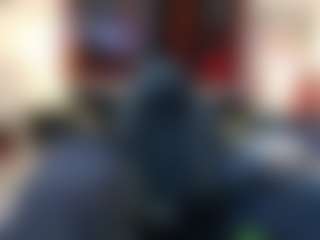 Amy Honney's Live Sex Cam Show