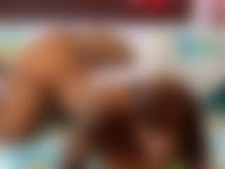 Amy Honney's Live Sex Cam Show