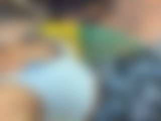 Amy Honney's Live Sex Cam Show