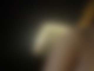 Amy Honney's Live Sex Cam Show