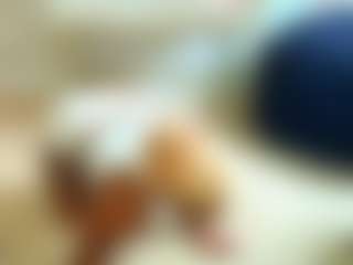 msfitqueen's Live Sex Cam Show