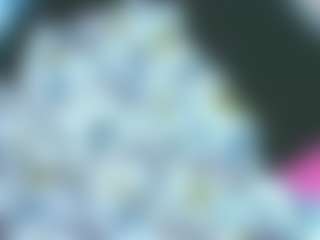 msfitqueen's Live Sex Cam Show