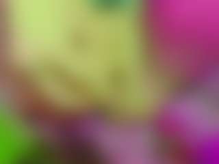 pauladaniel's Live Sex Cam Show