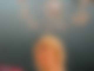 adrianna777's Live Sex Cam Show
