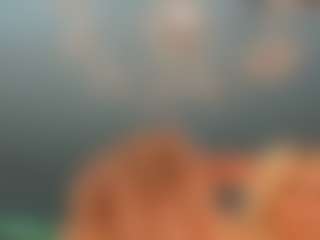 adrianna777's Live Sex Cam Show