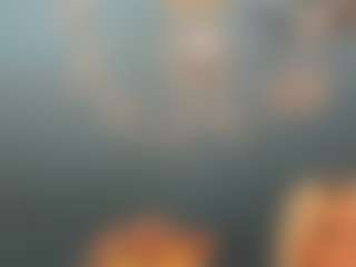 Show di cam dal vivo di adrianna777