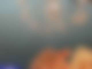 adrianna777's Live Sex Cam Show