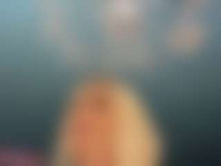 adrianna777's Live Sex Cam Show