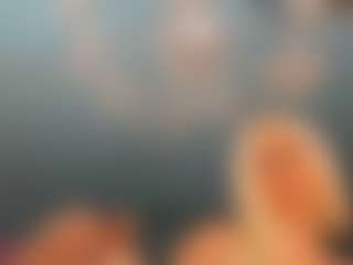 adrianna777's Live Sex Cam Show