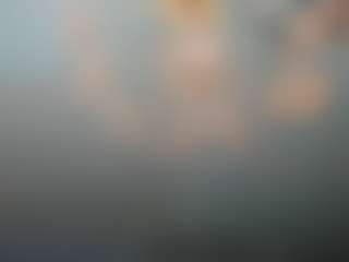 Show Live Sex Cam adrianna777