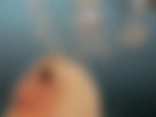adrianna777's Live Sex Cam Show