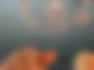 adrianna777's Live Sex Cam Show