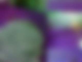 Nelli Brickhouse's Live Sex Cam Show