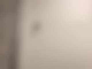 Bigman260's Live Sex Cam Show