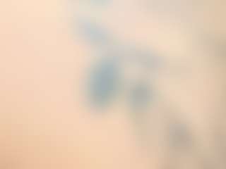 paulinasoto's Live Sex Cam Show