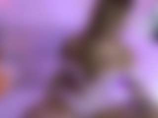 Dani Rouge's Live Sex Cam Show