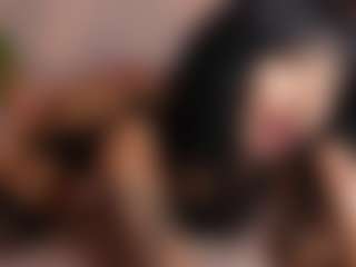 Dani Rouge's Live Sex Cam Show