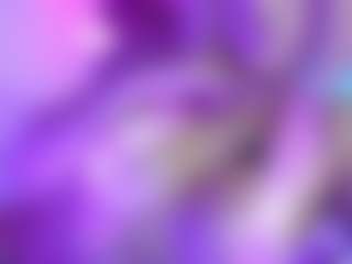 Dani Rouge's Live Sex Cam Show