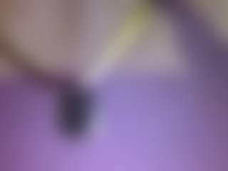 Dani Rouge's Live Sex Cam Show