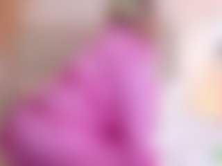 Dani Rouge's Live Sex Cam Show