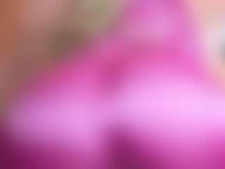 Dani Rouge's Live Sex Cam Show