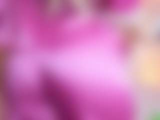 Dani Rouge's Live Sex Cam Show