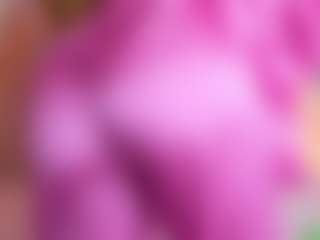 Dani Rouge's Live Sex Cam Show