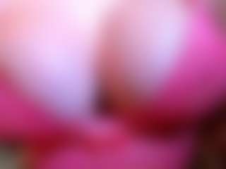 Gaby Ferrer's Live Sex Cam Show