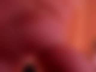 Hanna Taylor's Live Sex Cam Show