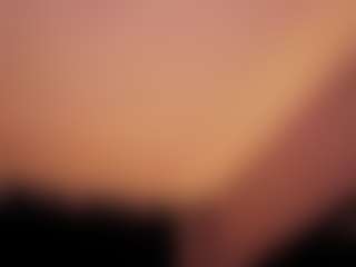 stellahoorny's Live Sex Cam Show