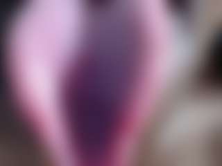vivianelane's Live Sex Cam Show