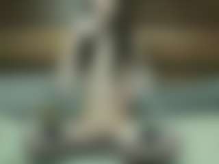 kaylastarkx's Live Sex Cam Show