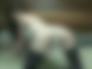 Live cam show with kaylastarkx - Lovely on Nude Chat * 1 On 1 Webcam Sex * Live Cam Show