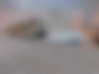 VIOLETA's Live Sex Cam Show