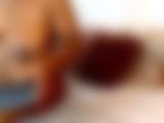 firedirty's Live Sex Cam Show