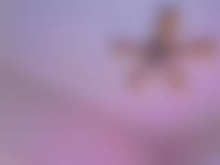 Kloewandan's Live Sex Cam Show