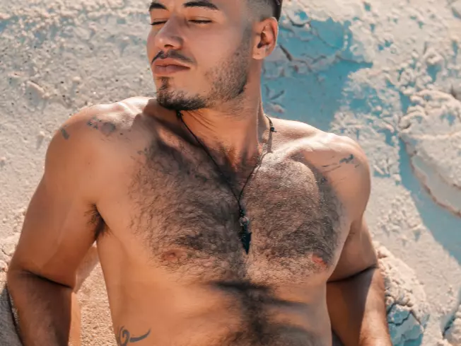 pedromancinibr
